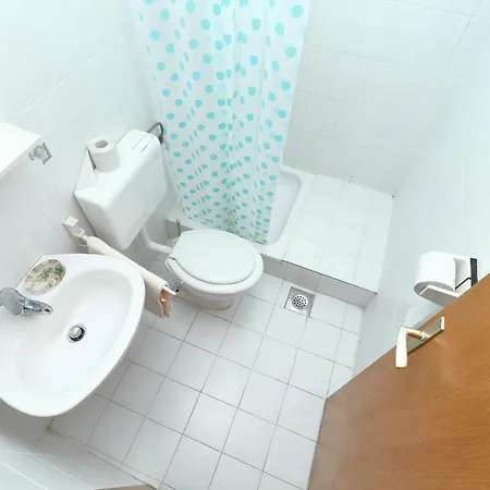 House Sneky دراسنيتش